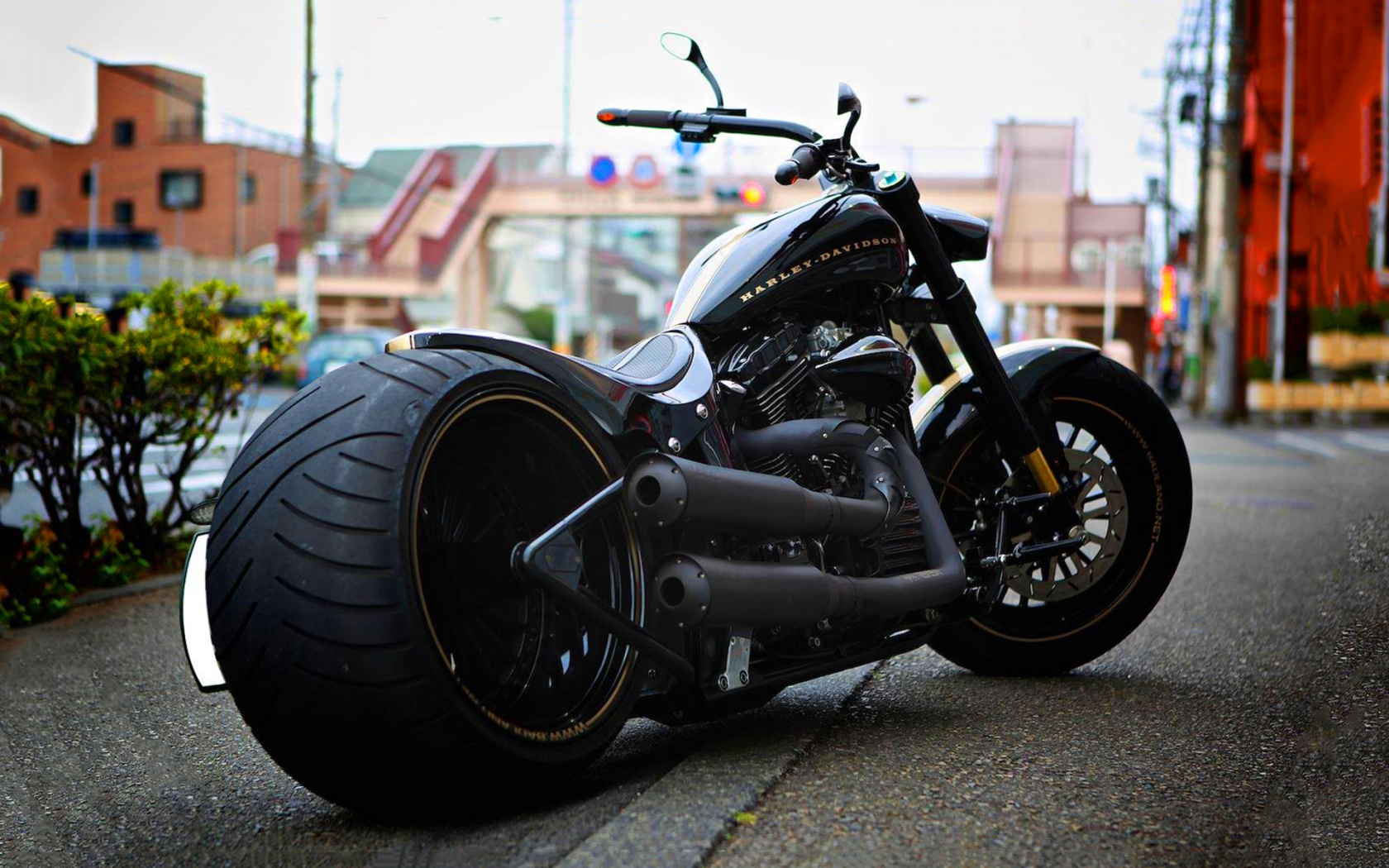Ban Motor Touring, sumber Eksimotor