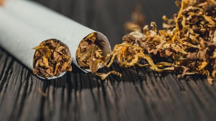 Ilustrasi tembakau yang ada pada rokok Ilustrasi tembakau yang ada pada rokok, Sumber: suara.com
